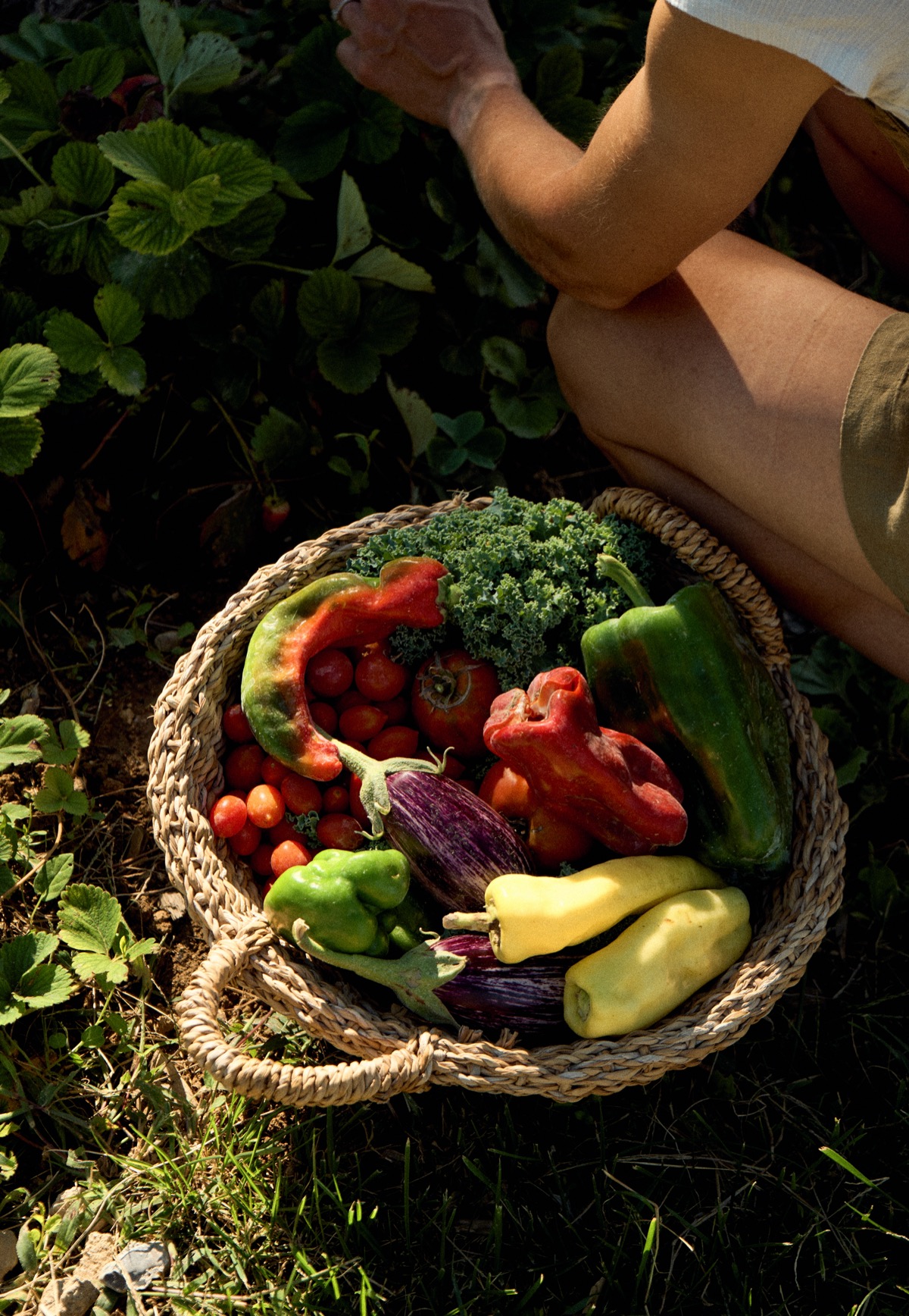 The vegetable garden at Can Campolier