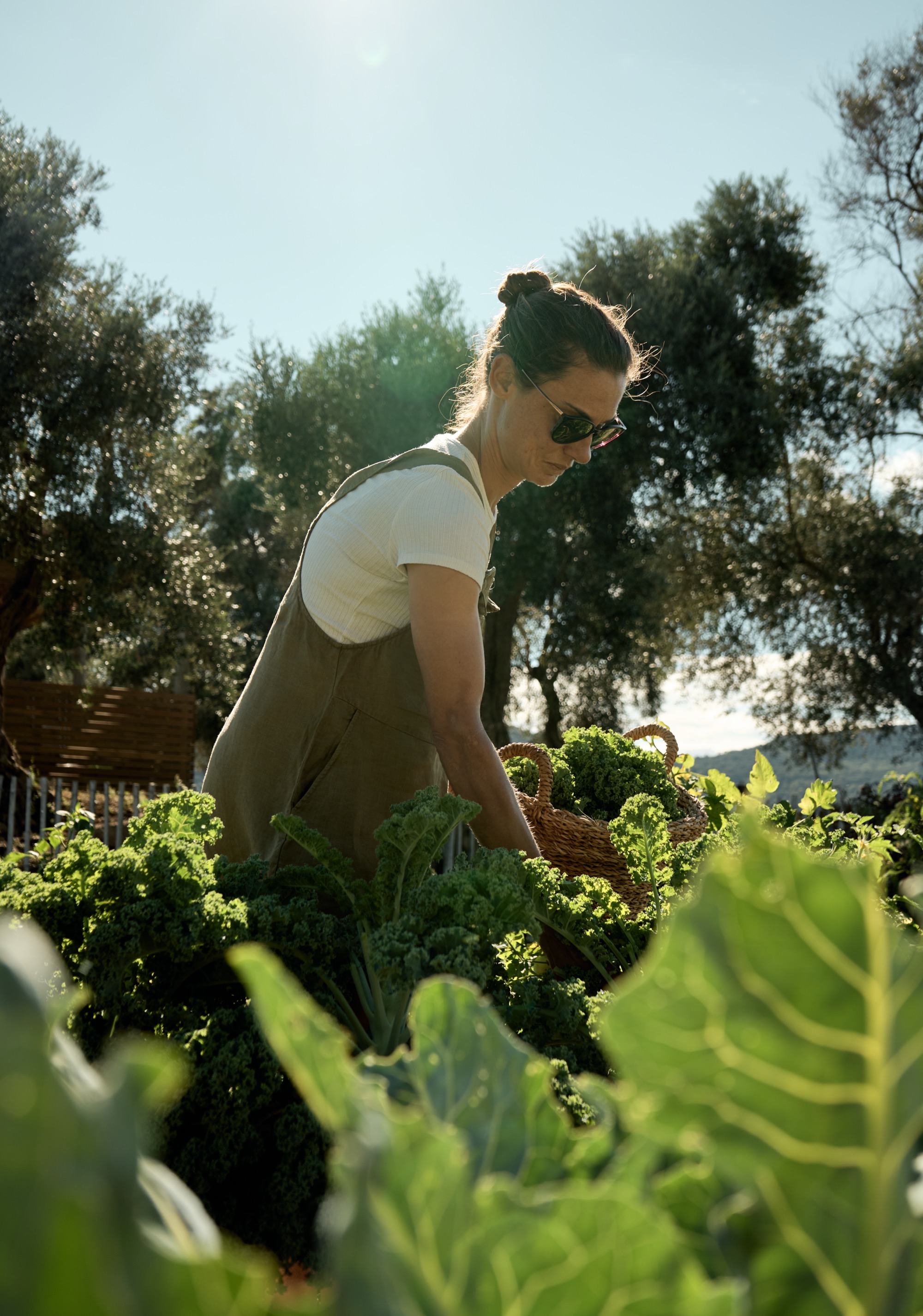 Hidden corners of the estate