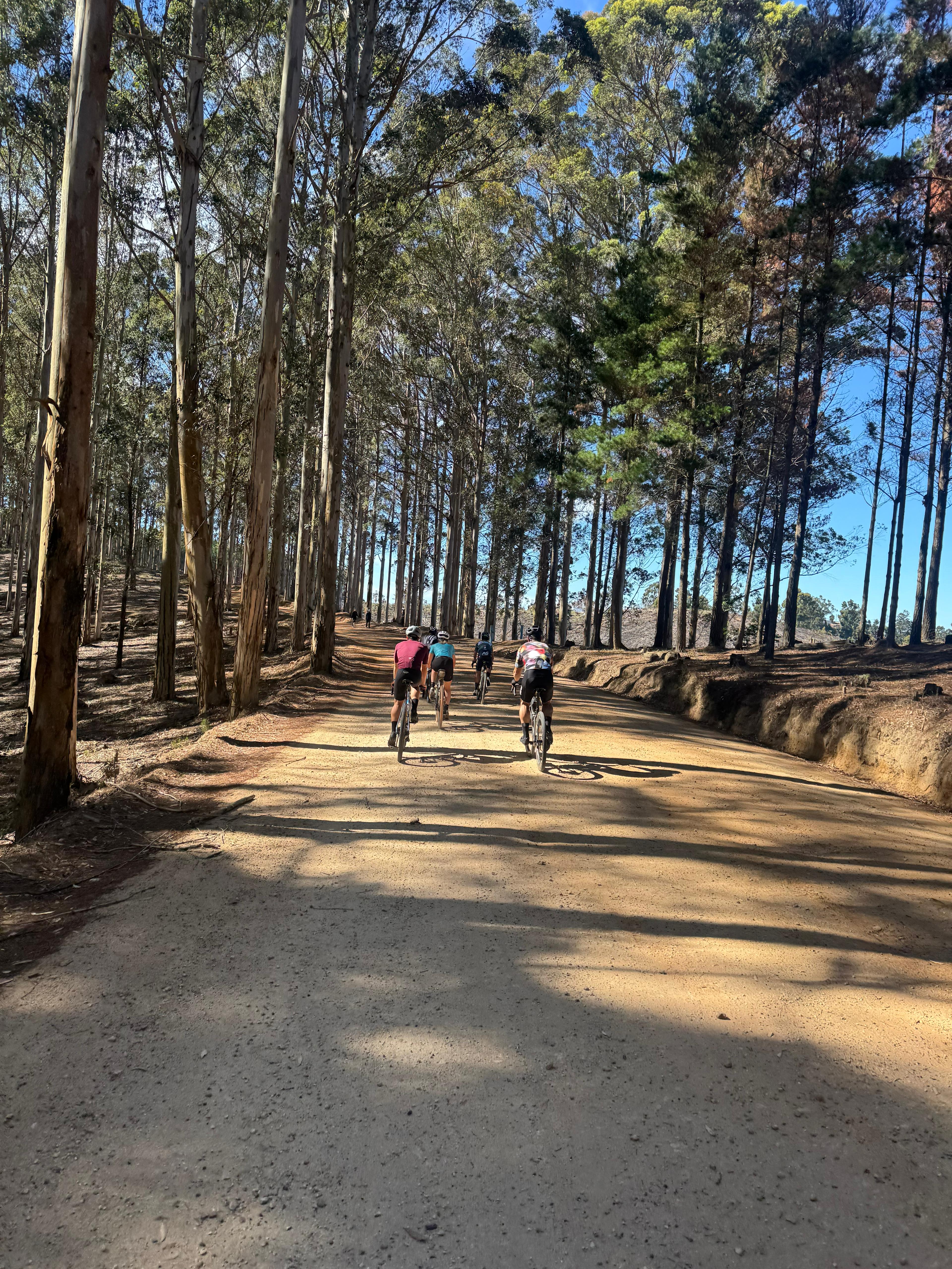 Gravel cycling through South African landscapes