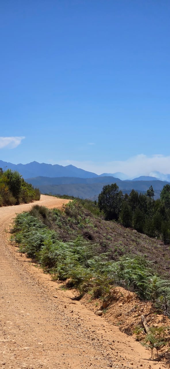 Riders on the South Africa Gravel Tour